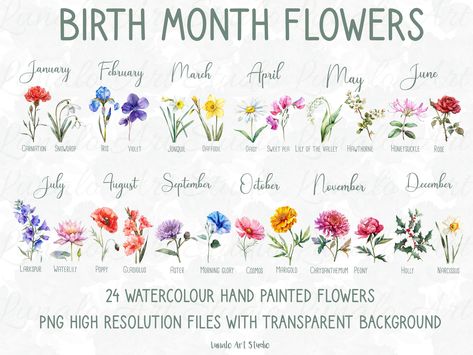 Birth Month Flowers In Color, Watercolor Birth Month Flowers, Birth Flower Painting, Divorce Tattoo, Wildflower Clipart, Flower Clip Art, Wildflower Tattoo, Floral Png, Flowers Png