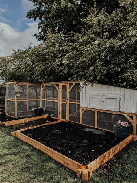 Chicken Coop Ideas & Everything Backyard Chicken | our first coop! 🫶🏼🥹 | Facebook Chicken Coop Ideas, Diy Chicken Coop Plans, Coop Ideas, Chicken Coop Plans, Diy Chicken Coop, Chicken Coops, Chickens Backyard, Chicken Coop, Flower Beds