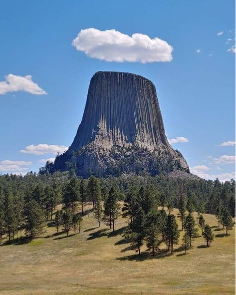 Devils Tower Wyoming, Devils Tower, Top Places To Travel, Heavenly Places, Ancient Origins, National Parks Usa, Daily Pictures, Ancient Mysteries, Amazing Pics