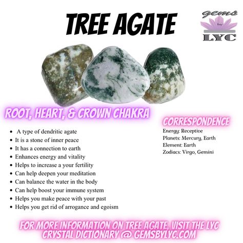 For more information on Tree Agate, please visit the LYC Crystal dictionary by clicking the link Tree Agate Properties, Lybian Desert Glass Crystal Meaning, Tree Agate Crystal Meaning, Tree Agate Meaning, Crystal Dictionary, Crystal Encyclopedia, Tree Agate Crystal, Agate Crystal Meaning, Agate Meaning