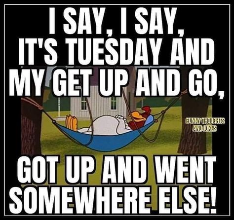 Tuesday Humor, Funny Thoughts, Funny Sayings, Looney Tunes, Morning Quotes, Good Morning Quotes, Funny Stuff, Good Morning, Funny Quotes