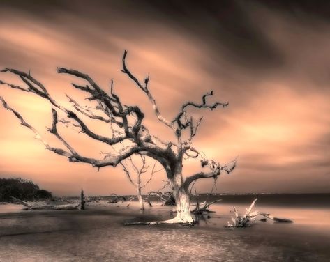 10 Dark Relaxing Wallpaper for Smartphones, INSTANT DOWNLOAD, Screensaver, Desktop Background - Etsy Ocean Clouds, Seascape Photography, Driftwood Beach, Jekyll Island, 16x20 Frame, Low Country, Colour Photograph, The Low, Backgrounds Desktop