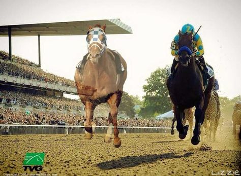 The ghost of Secretariat running with his great-great-great grandson, American Pharoah as Pharoah wins the 2015 Breeders Cup Classic! Secretariat Horse, American Pharoah, Breeders Cup, Thoroughbred Horse Racing, Thoroughbred Horse, Majestic Horse, Horses And Dogs, Horse Quotes, Horse Crazy