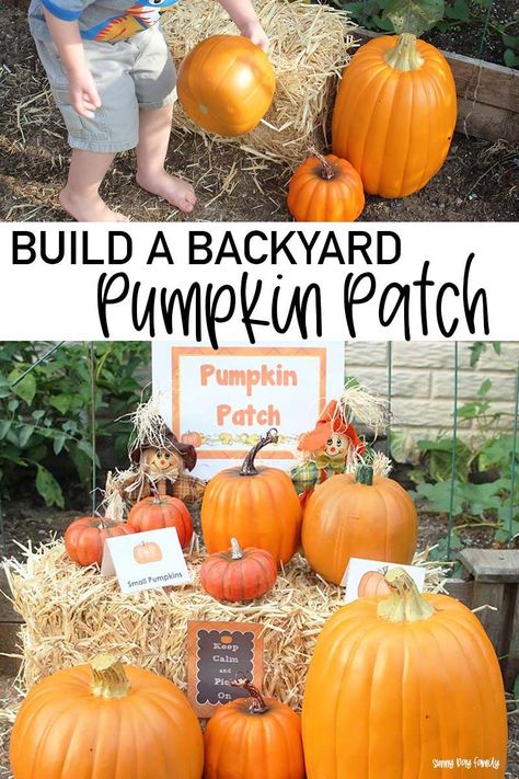 Can't go to the pumpkin patch this year? Make one at home! Super fun pumpkin patch activity for kids during social distancing. Let kids enjoy their own backyard pumpkin patch with these printables and ideas! Pumpkin Patch Preschool, Backyard Pumpkin Patch, Pumpkin Patch Diy, Pumpkin Patch Decoration, Preschool Pumpkins, Pumpkin Patch Activities, Pumpkin Patch Birthday Party, Pumpkin Birthday Party, Pumpkin Patch Birthday