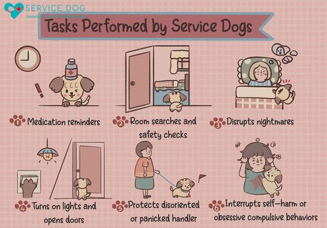 How to Train Your Dog To Be a Service Dog Service Animal Training, Service Dog Commands, Boxer Service Dog, How To Train A Service Dog, Service Dog Tasks List, Service Dog At School, Psychiatric Service Dog Training, Service Dog Training Checklist, Service Dog Gear For School