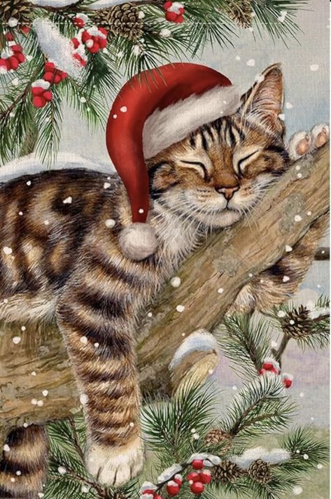 Christmas Kitty Painting, Christmas Animals Wallpaper, Christmas Cats Aesthetic, Christmas Cats Wallpaper, Christmas With Cats, Christmas Cat Wallpaper, Cats And Christmas, Cute Christmas Cat, Christmas Kitties