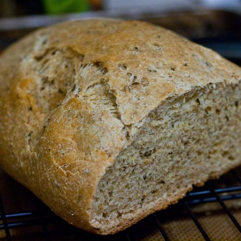 Real NY Jewish Rye Bread Jewish Rye Bread Recipe New York, Polish Rye Bread, Polish Bread Recipes, Polish Rye Bread Recipe, Polish Recipes Authentic, Lithuanian Bread Recipe, Jewish Rye Bread Recipe, Easy Polish Recipes, Classic Borscht Recipe