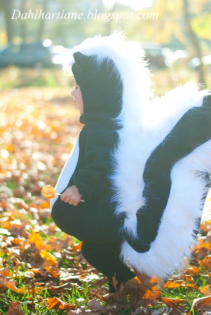 Skunk costume by Dahlhart Lane Skunk Diy Costume, Skunk Costume Baby, Diy Skunk Costume, Toddler Skunk Costume, Baby Skunk Costume, Halloween Nature, Skunk Costume, Costume Box, Upturned Nose