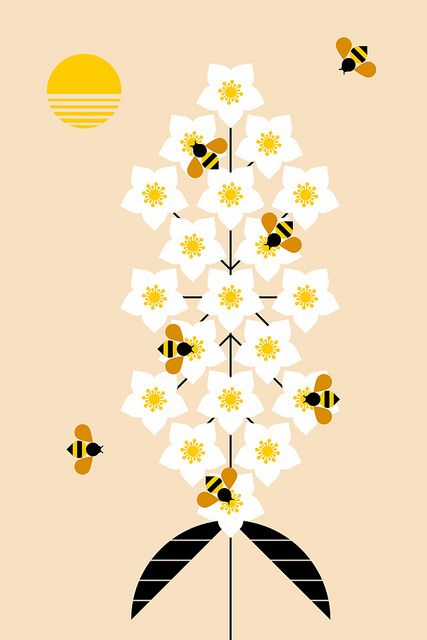 Honey Packaging, Bee Illustration, Gig Poster, Posca Art, 카드 디자인, Kwazulu Natal, Bee Art, Save The Bees, Flat Illustration