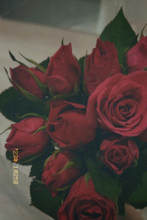 Dazz Cam Filters, Dazz Cam Aesthetic, Red Roses Aesthetic, Cam Aesthetic, Red Roses Bouquet, Fireworks Pictures, Dazz Cam, Rose Flower Photos, Instagram Design Creative