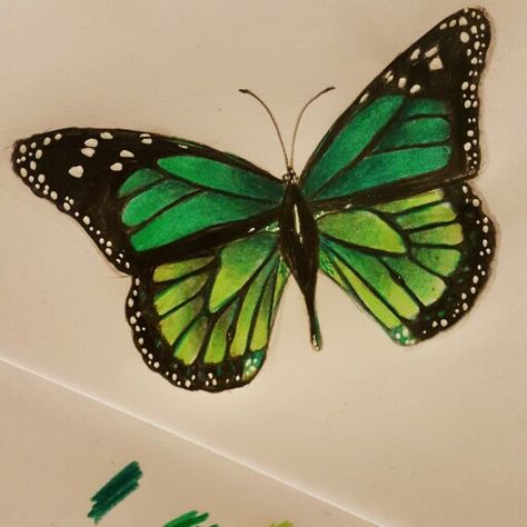 Butterfly tattoo drawing green Green And Yellow Butterfly Tattoo, Green Butterfly Tattoo For Women, Emerald Green Butterfly Tattoo, Small Green Butterfly Tattoo, Emerald Butterfly Tattoo, Green Tattoos For Women, Green Butterfly Drawing, Green Butterfly Tattoo, Butterfly Tattoo Drawing