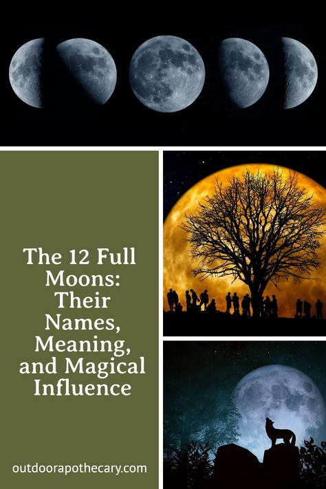 The moon is often an object of fascination. Its phases and names say a lot about how we relate to, and derive meaning from, the moon’s seemingly ever-shifting aspects. Here are the names and meanings of the 12 full moons, plus tips on how they can influence your life. Full Moon Names And Meanings, Super Moon Meaning, Moon Phase Meanings, Crescent Moon Meaning, Moon Phases Meaning, December Full Moon, Full Moon Meaning, February Full Moon, November Full Moon