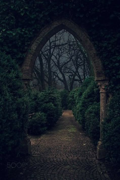 Forest Royal Aesthetic, Moody Fairytale Aesthetic, Victorian Garden Aesthetic Dark, Vampire Garden Aesthetic, Midnight Forest Aesthetic, Hedge Maze Aesthetic Dark, Castle Garden Night, Grimms Fairy Tales Aesthetic, Enchanted Castle Aesthetic