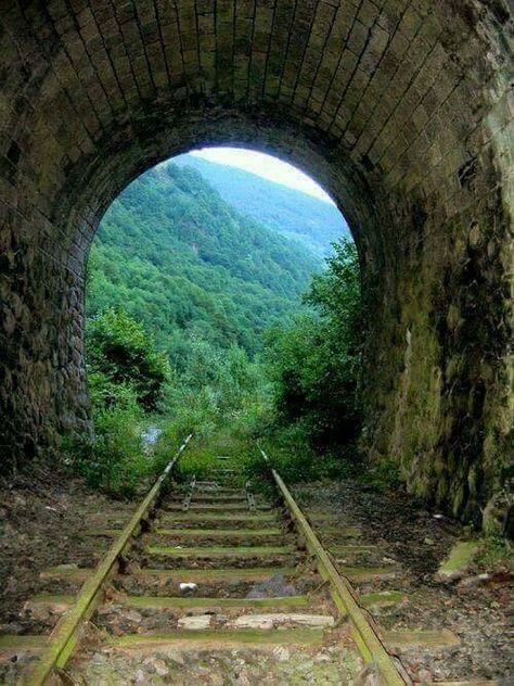 Train Tunnel, Abandoned Train, Old Trains, Old Train, Train Pictures, Abandoned Buildings, Train Tracks, Covered Bridges, Train Travel