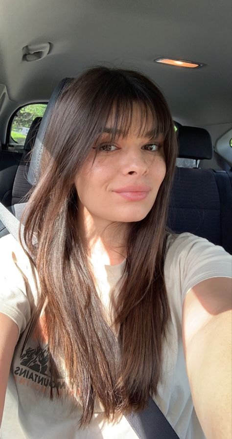 Brunette hair, bangs, layers Feathered Bangs Straight Hair, Long Brown Hair With Bangs Fringes, Brunette Bangs Straight Hair, Brunette Wispy Fringe, Long Brown Hair With Bangs Straight, Flimsy Bangs Hair, Feather Fringe Hair, Bangs Across Forehead, Brunette Fringe Bangs