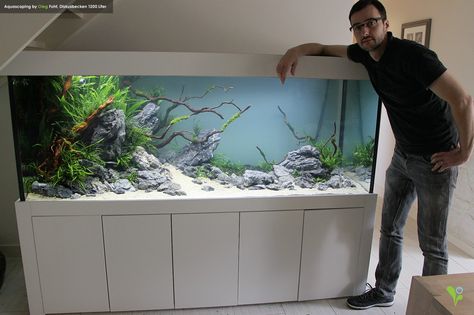 Simon's Aquascape Blog — Favourites: 1200L tank by Oleg Foht Great new job... Discus Tank, Discus Aquarium, Fish Aquarium Decorations, Fish Tank Stand, Fish Tank Terrarium, Amazing Aquariums, Fish Tank Design, Aquascape Design, Aquarium Terrarium