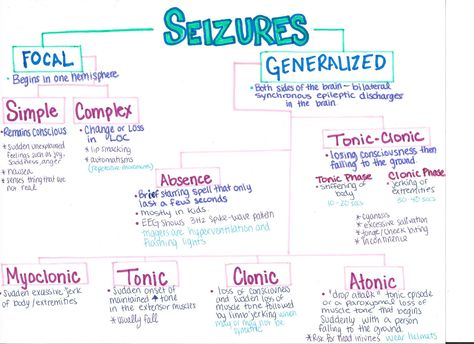 Types of seizures Seizures Nursing, Types Of Seizures, Graduation Nursing, Emt Study, Paramedic School, Nursing Information, Nursing Board, Med Surg Nursing, Nurse Study Notes