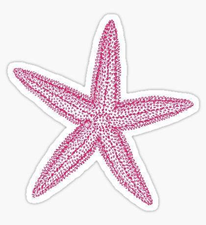 Pink starfish Sticker Starfish Sticker, Pink Starfish, Stickers Cool, Preppy Stickers, Stella Marina, Vinyl Bumper Stickers, Cute Laptop Stickers, Phone Stickers, Mermaid Birthday Party