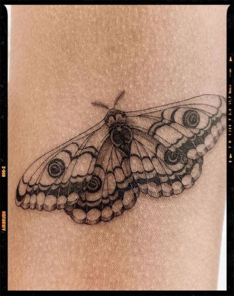 Pretty Moths Tattoo, Back Moth Tattoo Women, Bug Tattoo Men, Moth Tattoo Dainty, Moth Tattoo With Color, Mushroom Back Tattoo, Realism Moth Tattoo, Cool Moth Tattoo, Moth Tatoos Ideas