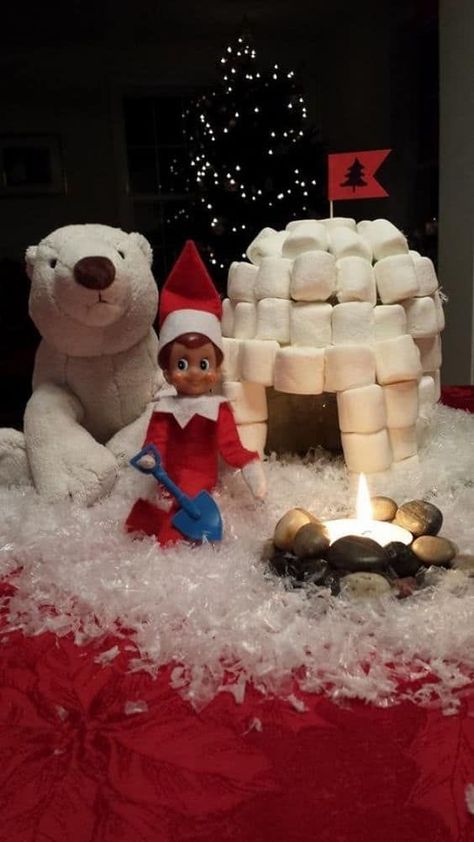 Do you have an elf visitor as a Christmas Tradition? Stay within a theme this season using fluffy white marshmallows. Follow these Elf on the Shelf Ideas with marshmallows. New ideas daily. Free Elf on the Shelf Printables and more. #marshmallows #FrugalCouponLiving #ElfontheShelf #ElfontheShelfIdeas #ElfIdeas #funnyelfideas #funnyelfontheshelf #elfprintables #freeelfprintables #printables #freeprintables #affiliate Elf On The Shelf Marshmallow, Marshmallow Igloo, Elf Printables, Elf Ideas Easy, White Marshmallows, Awesome Elf On The Shelf Ideas, Elf Magic, Elf Activities, Xmas Elf