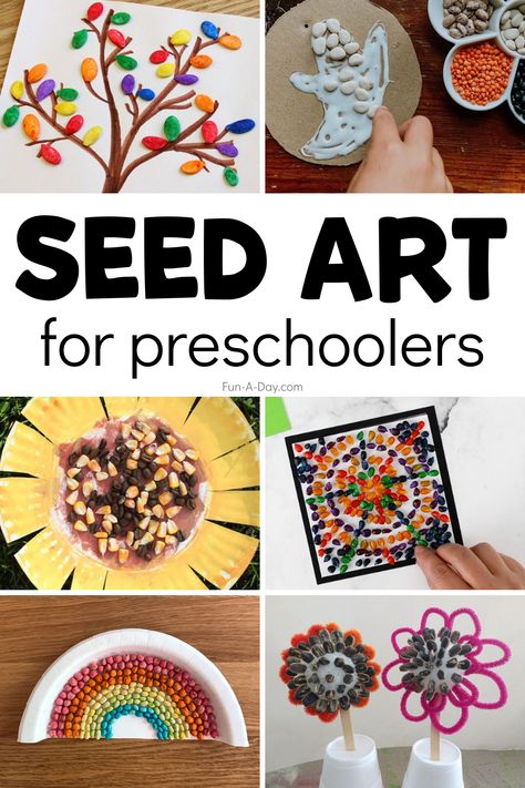 Seed Activities For Preschool, Seed Art For Kids, Pumpkin Seed Activities, Seed Activities For Kids, Seed Crafts For Kids, Art Ideas For Preschoolers, Seed Painting, Paper Plate Art, Seed Craft