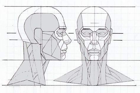 Head Proportions, Perspective Architecture, Planes Of The Face, Portrait Drawing Tips, Head Study, Face Anatomy, Anatomy Sculpture, Drawing Heads, Human Anatomy Drawing