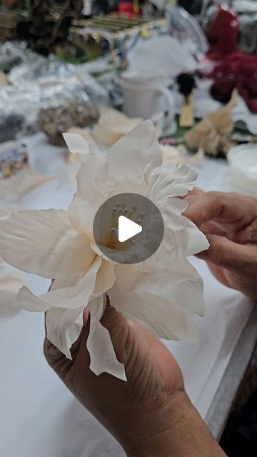 M&S Schmalberg Flowers on Instagram: "Handmade silk orchids 

#millinery #FashionDesign #costumedesign #nyc #handmade #silkflowers" Silk Orchids, Flower Craft, Flower Diy Crafts, June 17, Silk Flower, Diy Flowers, Flower Crafts, Costume Design, Silk Flowers