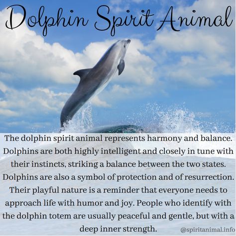 Spiritual Meaning of Dolphin Dolphin Meaning, Dolphin Symbolism, Dolphin Spirit Animal, Dolphin Tattoo Meaning, Dolphin Quotes, Halo Wedding Rings, Wedding Snow, Modern Wedding Cakes, Spirit Animal Meaning