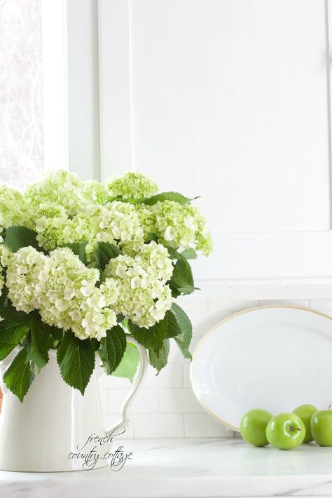 hydrangeas, fresh, kitchen, sink, alum Hydragena Bouquet, Fresh Hydrangeas, Hydrangea Cuttings, Hydrangea Not Blooming, French Country Cottage, Lifestyle Design, Fresh Cut, French Country Decorating, Beautiful Bouquet