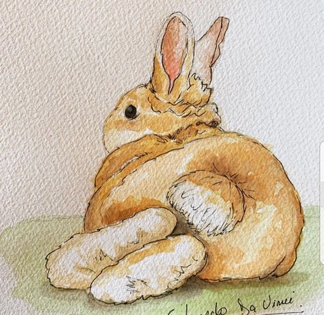 Bunny Painting Ideas, Rabbit Illustration Drawing, Bunnies Painting, Bunny Rabbit Art, Rabbit Pictures, Bunny Watercolor, Rabbit Drawing, Funny Image, Bunny Tattoos