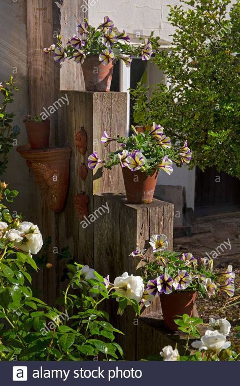 Download this stock image: Flower pots displayed on wooden railway sleepers in english garden - 2EX2PHT from Alamy's library of millions of high resolution stock photos, illustrations and vectors. Sleeper Wood Garden Ideas, Small Garden Sleeper Ideas, Old Railway Sleepers Garden Ideas, Railway Sleeper Fence Ideas, Railway Sleepers Garden Ideas, Railway Sleepers Ideas, Sleepers Garden Ideas, Seaside Bungalow, Landscaping Walls