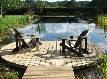 Organic Pools, Organic Pool, Pond Dock, Swim Pond, Dock Ideas, Swimming Ponds, Swimming Pool Pond, Natural Swimming Ponds, Backyard Plan