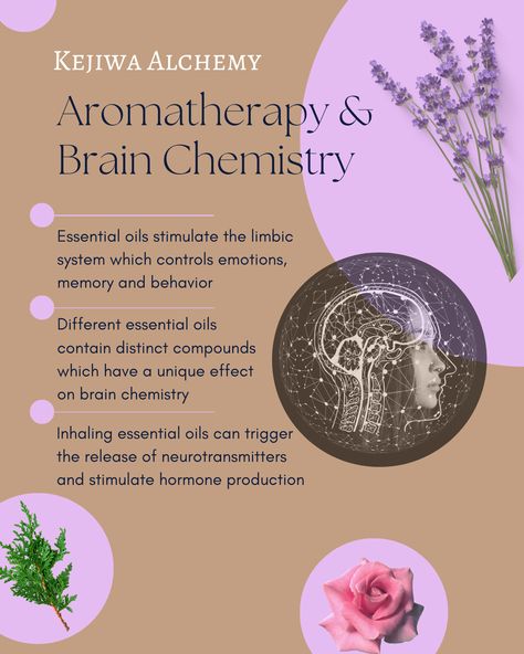 What Is Aromatherapy, Aromatherapy Workshop, Aromatherapy Aesthetic, Essential Oil Roller Bottle Recipes, Head Spa, Best Essential Oil Diffuser, Lavender Benefits, Product Knowledge, Candle Brand