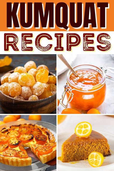 If you’re looking to shake up your menu, these kumquat recipes are just the thing! They’re sweet, sour, tangy, delicious, and surprisingly versatile. Candied Kumquat Recipes, Cumquat Recipes Cooking, Kumquat Jam Recipe, Comquat Recipe, Kumquats Recipes, Kumquat Recipes Easy, Kumquat Pie, Cumquat Recipes, Kumquat Marmalade Recipes