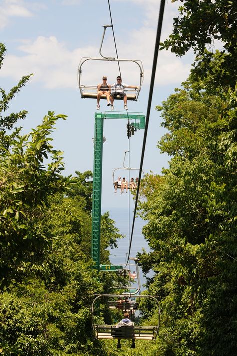 Sky lift. Mystic Mountain Rainforest. Ocho Rios, JAMAICA. Sky Lift, Jamaica Cruise, Blue Mountain Coffee, Mystic Mountain, Zipline Adventure, Ocho Rios Jamaica, Jamaican Culture, Jamaica Travel, Ocho Rios