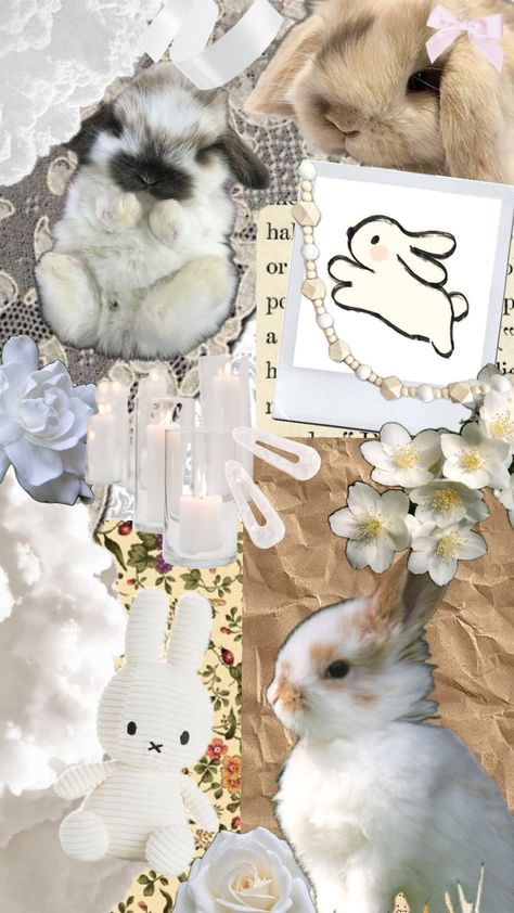 Fall Bunny Wallpaper, Cute Bunny Wallpaper, Rabbit Aesthetic, Bunny Wallpaper, Cute Tumblr Wallpaper, Coding For Kids, Tumblr Wallpaper, Aesthetic Collage, Phone Wallpapers