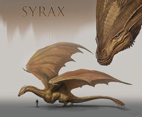 Raven on Instagram: "• Syrax • A little sad that Syrax doesn’t have any cool aliases, like “The Golden Queen” or “Realm’s Heart”. If you were to pick one for her, what would it be? I know a lot of you have also requested Balerion, but I think I wanna do a few more smaller/medium dragons before I get to that beast. Especially the ones that have more screen time, so I can actually see what they look like in the show X) #syrax #syraxthedragon #hotd #houseofthedragon #wyvern #wyvernart" Viserys I Targaryen, Targaryen Dragons, Aesthetic Dragon, Order Of The Dragon, Golden Queen, Game Of Thrones Artwork, Dragon House, Game Of Thrones Dragons, Got Dragons