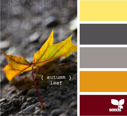 Inspiration Station | Autumn Color Scheme · Scrapbooking | CraftGossip.com my favorite for the bathroom! October Wedding Colors, Fall Wedding Color Schemes, Tafel Decor, Palette Design, Yellow Bathrooms, Orange Design, Yellow Walls, Design Seeds, Hus Inspiration