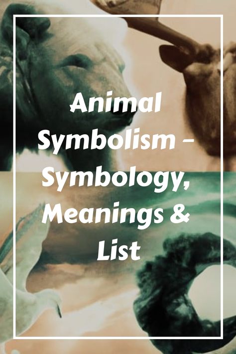 Do you ever feel like a spirit animal is watching over you? Many people believe in animal symbolism and the power of spirit animals. Each spirit animal has its own unique set of qualities and characteristics that can teach us about ourselves. This blog post will explore the animal symbology and meanings behind some of the most common spirit animals. We will also discuss how to connect with your personal spirit animal. Are you ready to learn more? Dream Meanings Symbols Animals, Animal Meanings Symbols, Animals And Their Symbolism, Finding Your Spirit Animal, Symbolic Animal Tattoos, Power Animal Spirit Guides, Animal Symbolism Tattoo, Animal Meanings Tattoos, Animals With Meaning