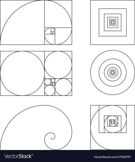 Golden Ratio Template, Golden Ratio Art, Golden Ration, Fibonacci Art, Golden Ratio In Design, Golden Ratio Logo, Graphisches Design, Fibonacci Spiral, Sacred Geometry Art