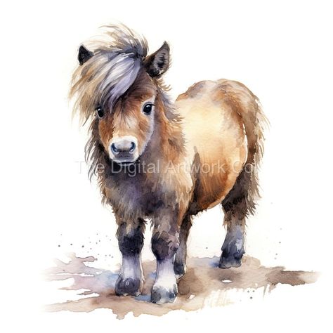 Shetland Pony Illustration, Mini Shetland Pony, Watercolour Horse Head, Mini Shetland, Shetland Ponies, Shetland Pony Photography, Palomino Shetland Pony, Shetland Pony, Beautiful Horse