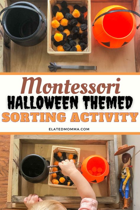 Montessori Halloween, Halloween Activities For Toddlers, Halloween Activities Preschool, Halloween Lesson, Halloween Themed Activities, Halloween Crafts Preschool, Halloween Sensory, October Activities, Fall Preschool Activities