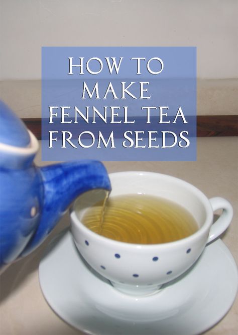 How to Make Fennel Tea Using Seeds. Keeping fennel seeds on hand means you can make tea whenever you want. Here's the easiest way to make it without any grinding, chopping, or pounding. Fennel Seed Tea, Fennel Seeds Benefits, Benefits Of Fennel, Fennel Tea, Medicinal Tea, Moms Cooking, Make Tea, Juicing Benefits, Home Health Remedies