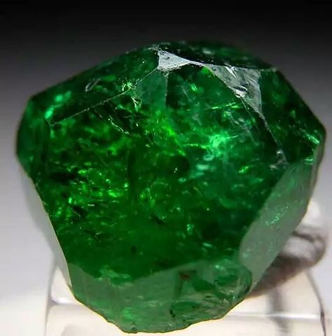 Dravite Tourmaline, Chrome Tourmaline, Rock And Mineral, Demantoid Garnet, Pretty Rocks, Cool Rocks, Mineral Stone, Minerals And Gemstones, Rocks And Gems