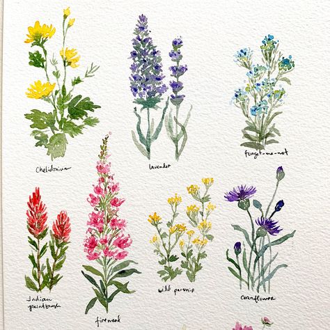 Pretty Little Wildflowers | Skillshare Projects Flowers To Watercolor, How To Paint Wildflowers, Pretty Drawings Of Flowers, Flowers Drawing Acrylic, Wildflower Painting Easy, Drawing Wildflowers, Wildflower Drawings, Wildflowers Drawing, Watercolour Wildflowers