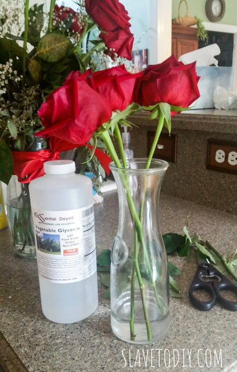 Perserving Flowers, Preserve Roses, Pressed Roses, Wallpapers Floral, Preserving Flowers, Preserve Flowers, Arreglos Ikebana, Dried Flowers Diy, Drying Roses