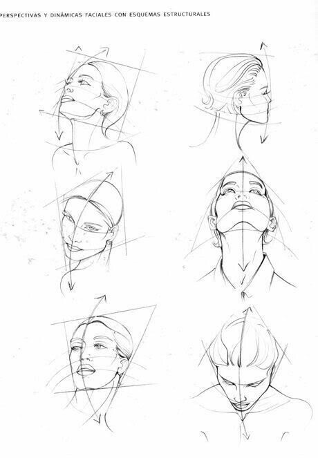 Foreshortening Reference, Proportion Tutorial, Face Sketches, Head Reference, Orca Tattoo, Head Angles, Face Angles, Hamsa Tattoo, 얼굴 드로잉