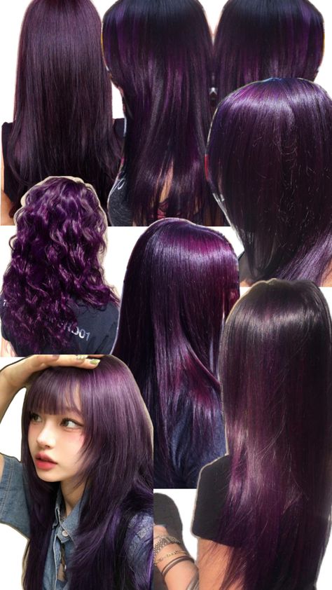 Purple Hair Plum, Grape Hair Color Dark Purple, Purple Hair Brown Skin, Purple Hair Highlights Brown, Dark Purple Hair Black Women, Purple Hair Women, Short Violet Hair, Purple Hair On Black Women, Purple Wine Hair