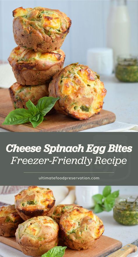 Freezer Breakfast Egg Bites, Freezer Spinach Recipes, Freezable Lunch Ideas, Egg Bites To Freeze, Egg Recipes To Freeze, Can You Freeze Egg Bites, Freezer Friendly Egg Bites, Freezing Egg Bites, Freeze Egg Bites