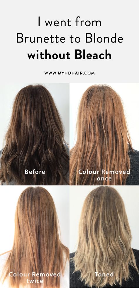 I went from Brunette to Blonde without Bleach - here's how Non Bleach Blonde Hair, How To Remove Color From Hair, Color Remover Hair Diy, Highlights Without Bleach Dark Hair, How To Remove Hair Color From Hair, How To Remove Hair Dye From Hair, Highlights Without Bleach, Blonde Hair Without Bleach, Lighten Hair Without Bleach